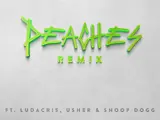 Peaches (Remix)