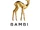 Bambi Awards