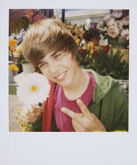 OLLG polaroid 3