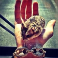 justinbieber "Me and #pac on the road" via Instagram