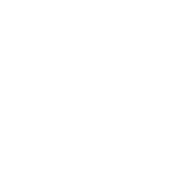 Flóki Studios
