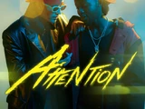 Attention