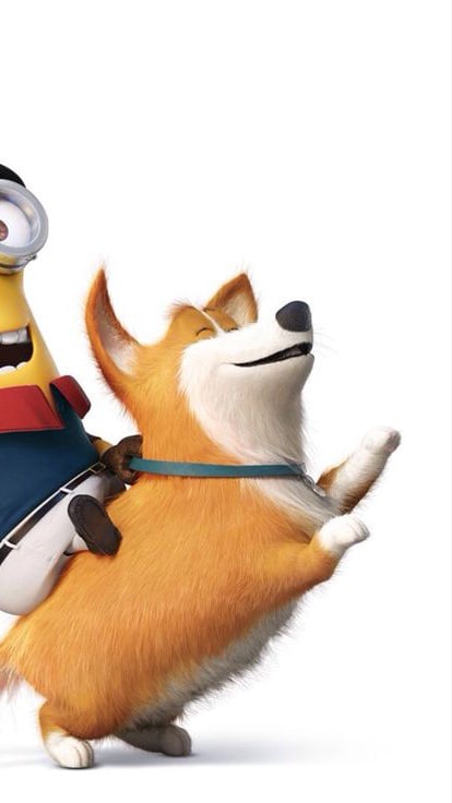 minion animated dogs