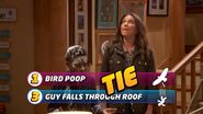 Bird Poop