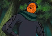 Tobi.jpg