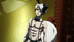 Usagi/Gallery, Juuni Taisen Wiki