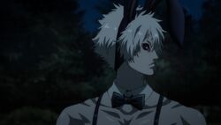 Usagi/Gallery, Juuni Taisen Wiki