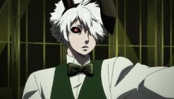 Usagi/Gallery, Juuni Taisen Wiki