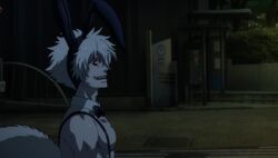 Usagi/Gallery, Juuni Taisen Wiki