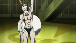 Usagi/Gallery, Juuni Taisen Wiki