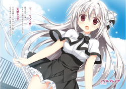 Light Novel Volume 15 Juuou Mujin No Fafnir Wiki Fandom