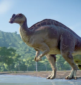 Arenysaurus (sweetener) | JW Evolution Modding Library Wiki | Fandom