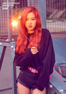 Rose Park JYP STARS Wiki Fandom