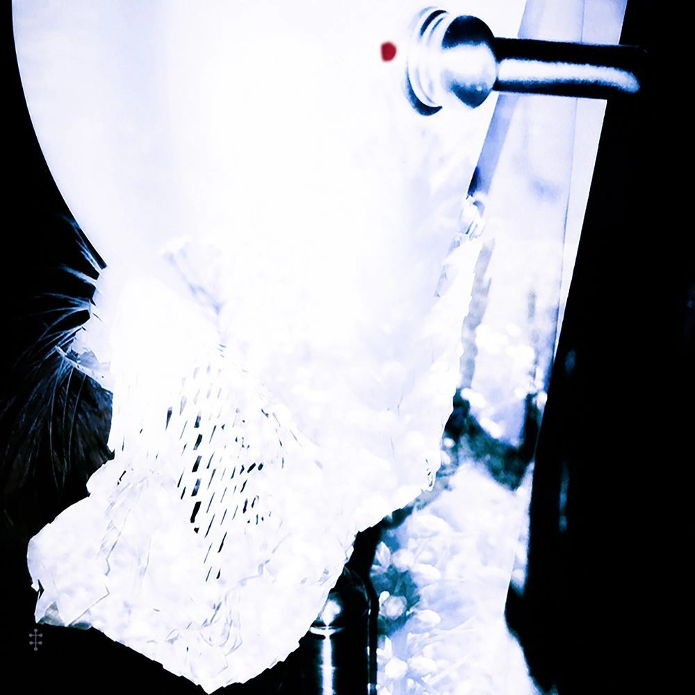 Parents | K Hip Hop Wiki | Fandom