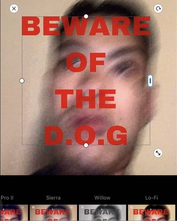 Beware Of The D O G K Hip Hop Wiki Fandom