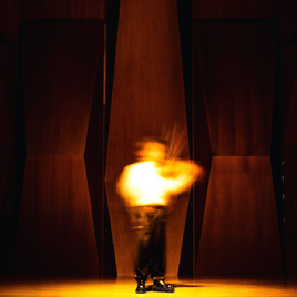 Violinist2 leellamarz