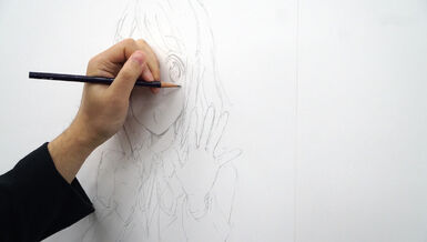 Only known image of Kakifly