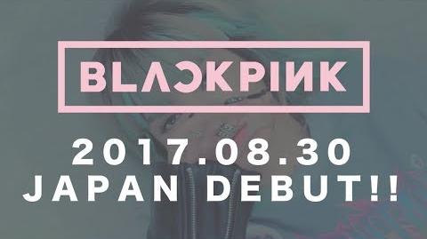 BLACKPINK - STAY (JP Ver.) M V