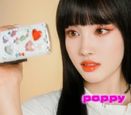 Période POPPY
