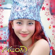 Période MEOW