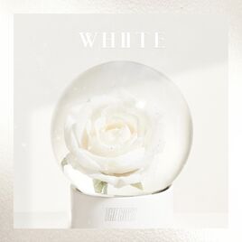 THEBOYZ-White-Pochette
