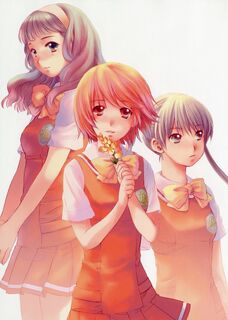 Kashimashi Wiki
