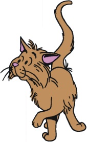 Tabby2