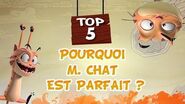 TOP 5 KAELOO Pourquoi M