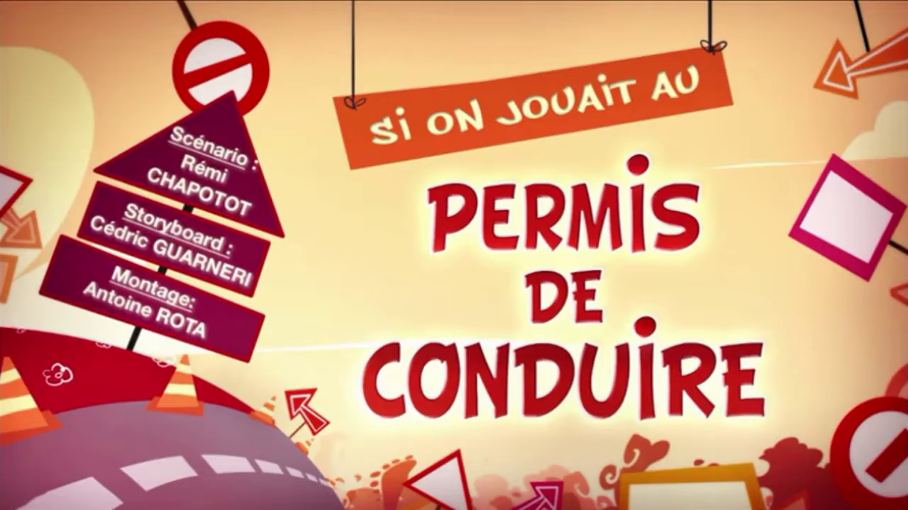 Permis de conduire — Wikipédia