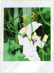 More art of child Seto used in Shounen Brave