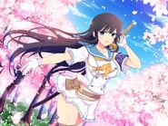 Ikaruga at the Cherry Blossom Field