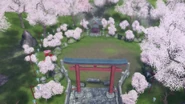 Sakura Clearing