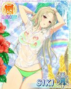 Shiki's Wet T-Shirt Paradise.jpg (100 KB)