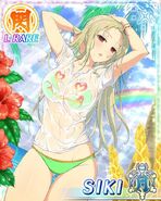 Shiki's Wet T-Shirt Paradise