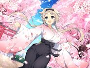 Cherry Blossom Spring Ibuki