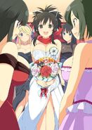 Senran Kagura's 5th Anniversary