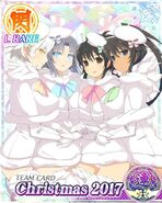 Merry Christmas Senran Kagura-dbvd119