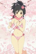 Asuka Sakura Bikini