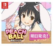 Peach Ball Asuka Title Screen