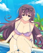 Murasaki Enjoying the Beach