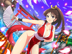 Enter Mai Shiranui