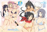 Senran Kagura Art