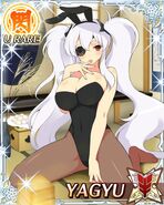 Yagyu bunny