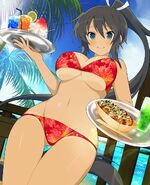 Bikini Waitress Homura