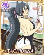 Tachibana Naked Apron -dbcwoqi