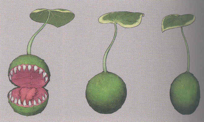 Tree Spirit Yoma