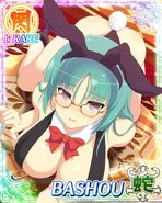 Glasses Bunny Girl Bashou (2)