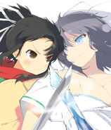 Senran Kagura: Shinovi Versus package illustration - Standard edition