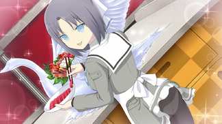 SENRAN KAGURA Reflexions - Yomi Reflexions Course & 12-Outfit Set