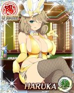 Poker Gold Bunny Haruka